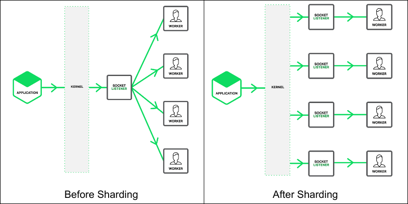 https://www.nginx.com/blog/socket-sharding-nginx-release-1-9-1/