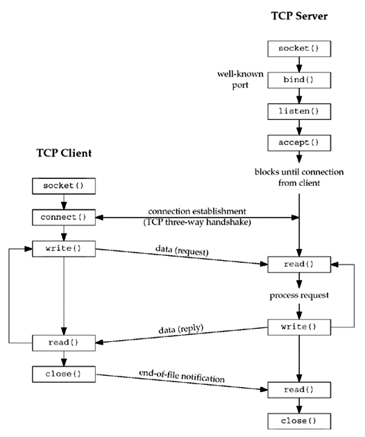 Unix Network Programming Fig 4.1